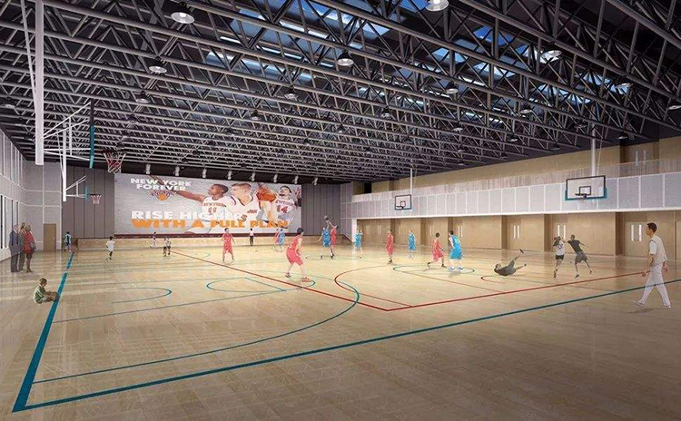 湖南常德學校體育館平板空間吸聲體工程