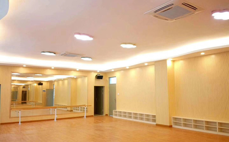 廣東惠州小學(xué)舞蹈室隔音板工程