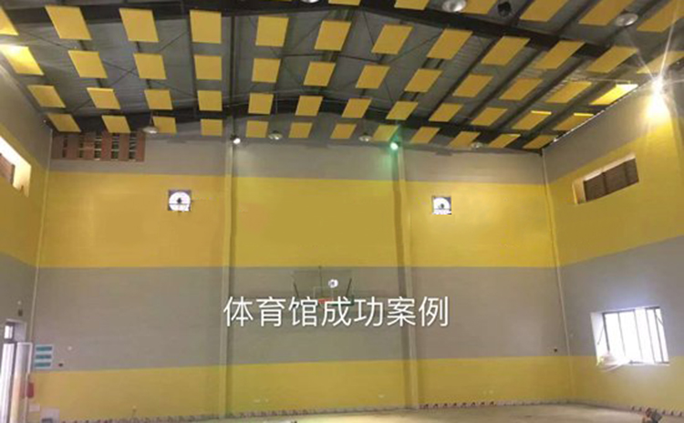 廣東廣州室內(nèi)體育館吸音板工程