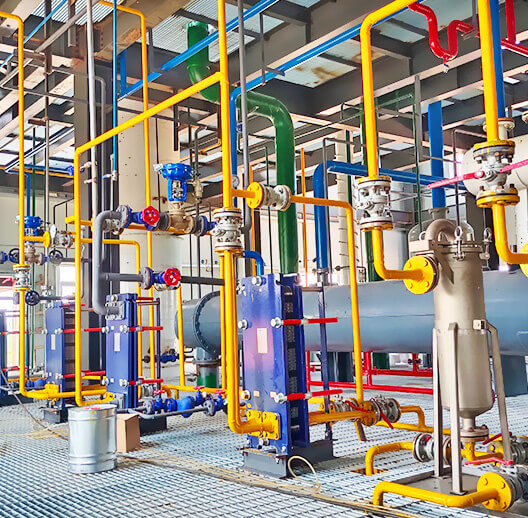 油菜籽生產(chǎn)線優(yōu)勢